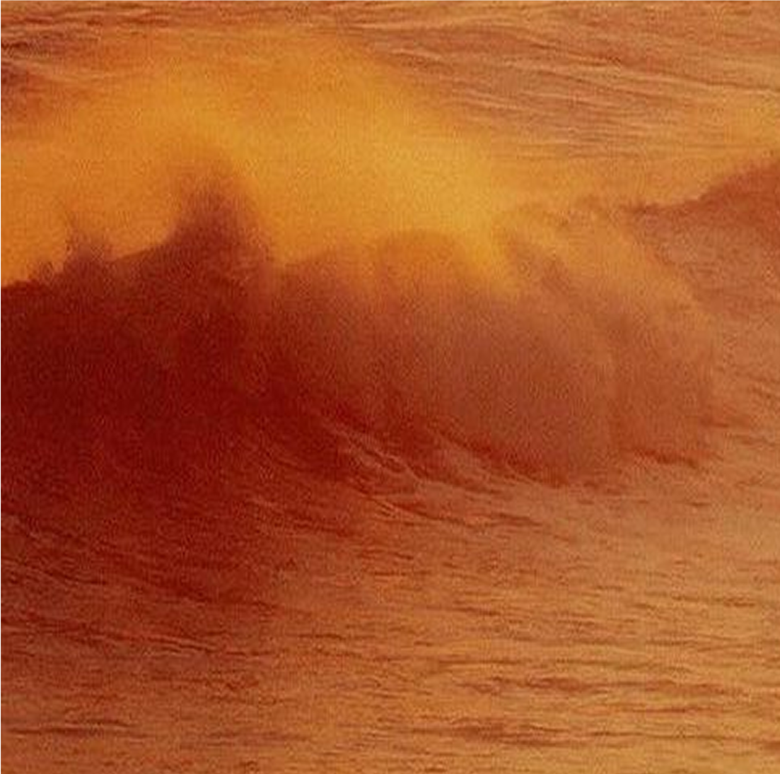 Film Lomo Redscale #01